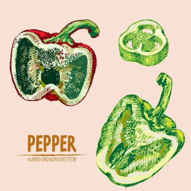 Dijital vektör hat sanat renk biber ayrıntılı