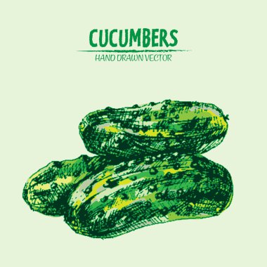 Dijital vektör hat sanat renk salatalık ayrıntılı