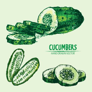 Dijital vektör hat sanat renk salatalık ayrıntılı