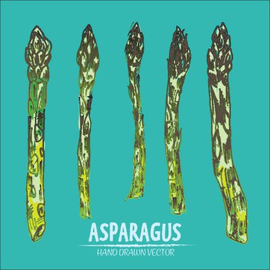 Dijital vektör hat sanat renk kuşkonmaz ayrıntılı