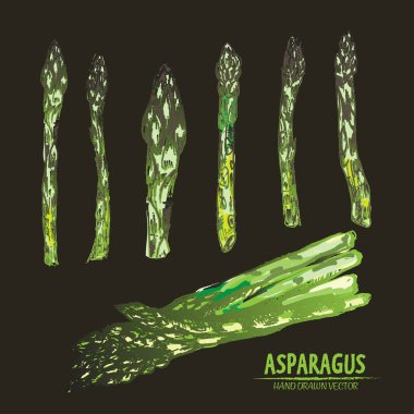 Dijital vektör hat sanat renk kuşkonmaz ayrıntılı