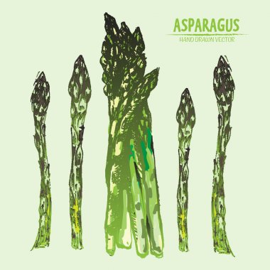 Dijital vektör hat sanat renk kuşkonmaz ayrıntılı