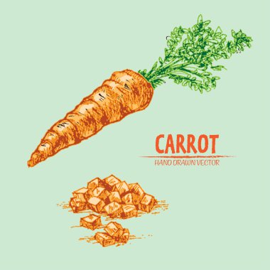 Dijital vektör çizgi renk sanat ayrıntılı