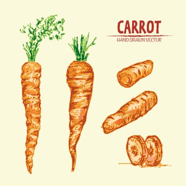 Dijital vektör çizgi renk sanat ayrıntılı