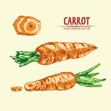 Dijital vektör çizgi renk sanat ayrıntılı