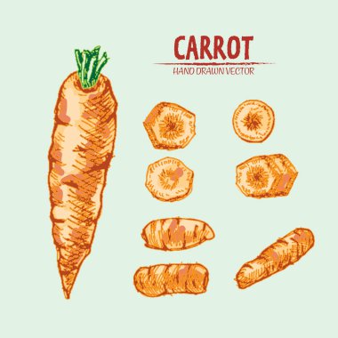 Dijital vektör çizgi renk sanat ayrıntılı