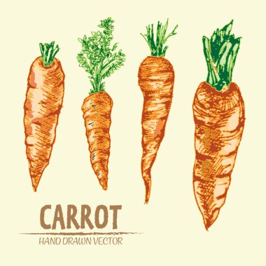 Dijital vektör çizgi renk sanat ayrıntılı