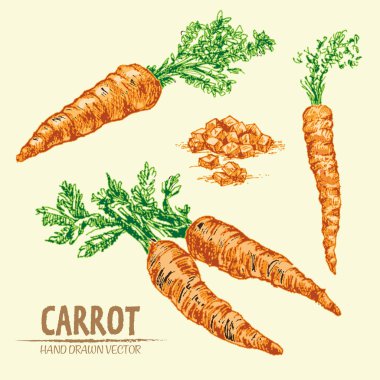 Dijital vektör çizgi renk sanat ayrıntılı