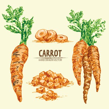 Dijital vektör çizgi renk sanat ayrıntılı