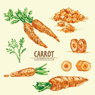 Dijital vektör çizgi renk sanat ayrıntılı