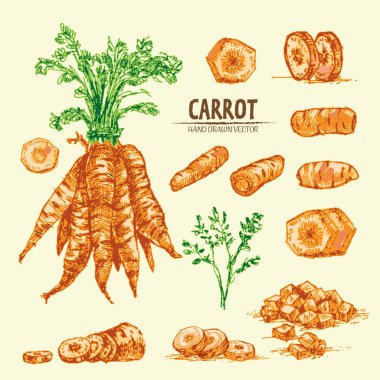 Dijital vektör çizgi renk sanat ayrıntılı