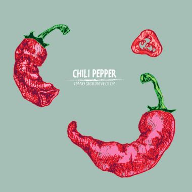 Dijital vektör hat sanat chili ayrıntılı