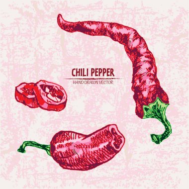 Dijital vektör hat sanat chili ayrıntılı