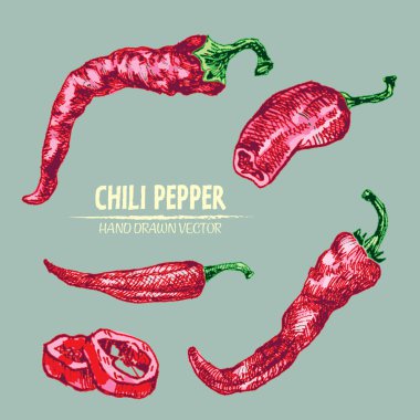 Dijital vektör hat sanat chili ayrıntılı