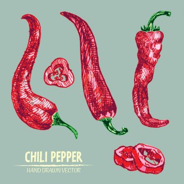 Dijital vektör hat sanat chili ayrıntılı