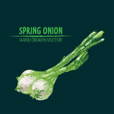 Dijital vektör Hat sanatı ayrıntılı