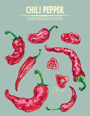 Dijital vektör hat sanat chili ayrıntılı