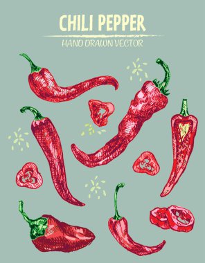 Dijital vektör hat sanat chili ayrıntılı