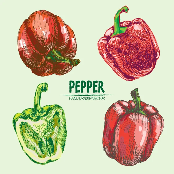 Dijital vektör hat sanat renk biber ayrıntılı