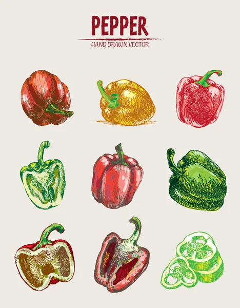 Dijital vektör Hat sanatı ayrıntılı