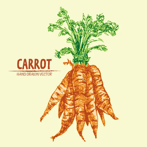 Dijital vektör çizgi renk sanat ayrıntılı