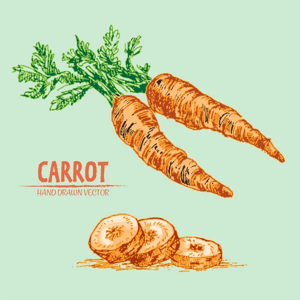 Dijital vektör çizgi renk sanat ayrıntılı