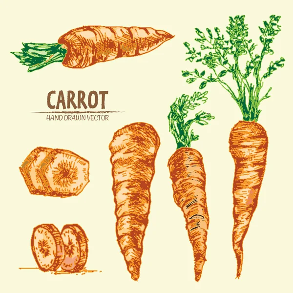 Dijital vektör çizgi renk sanat ayrıntılı