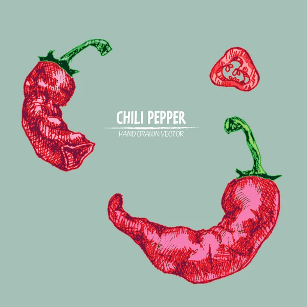 Dijital vektör hat sanat chili ayrıntılı