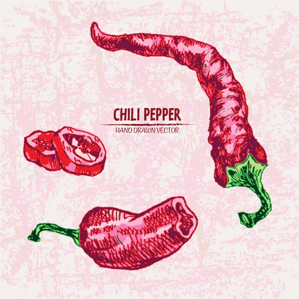 Dijital vektör hat sanat chili ayrıntılı