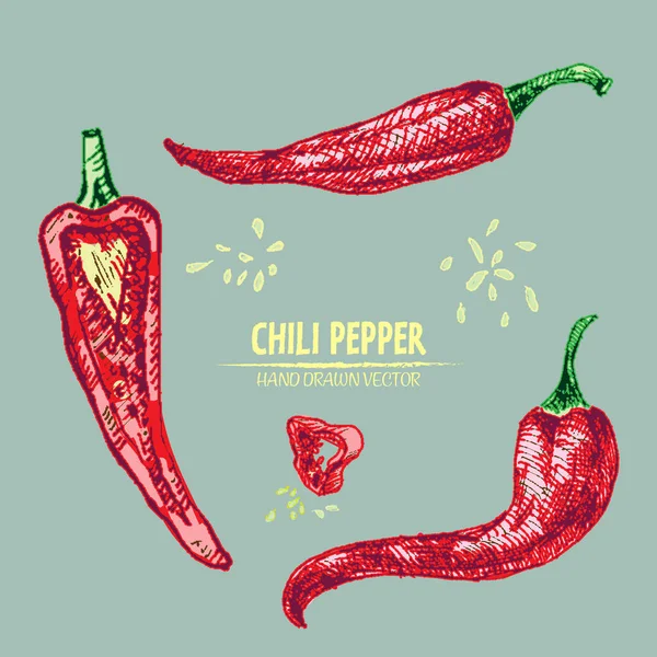 Dijital vektör hat sanat chili ayrıntılı