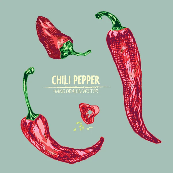 Dijital vektör hat sanat chili ayrıntılı