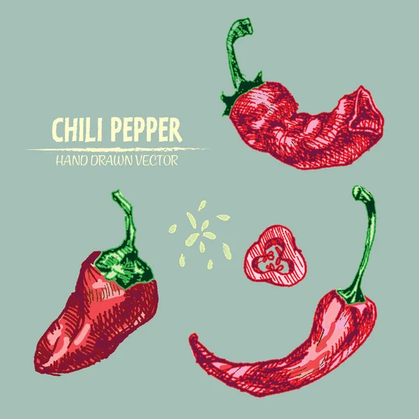 Dijital vektör hat sanat chili ayrıntılı