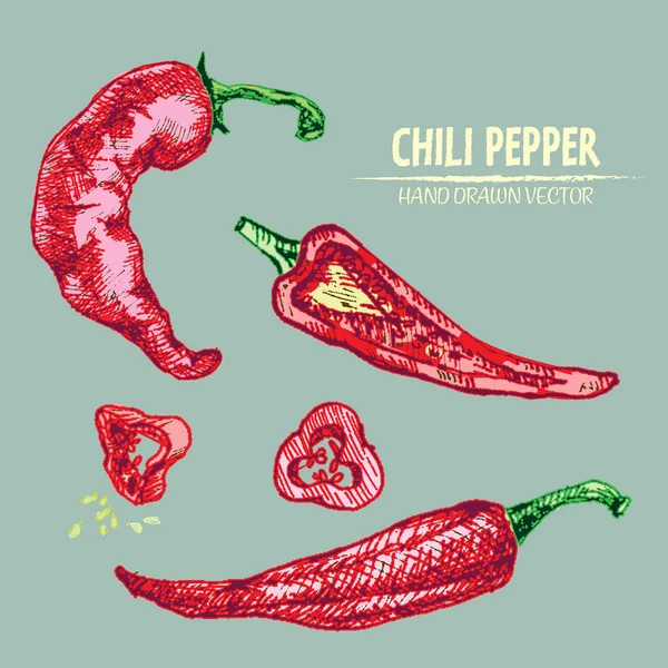 Dijital vektör hat sanat chili ayrıntılı