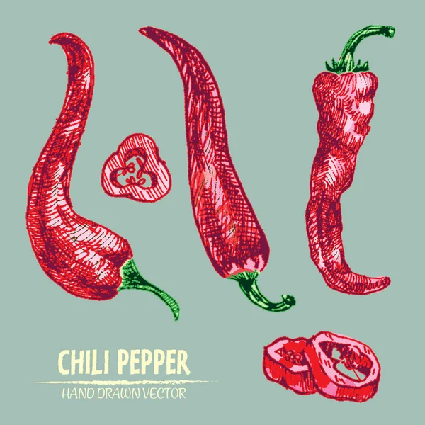 Dijital vektör hat sanat chili ayrıntılı