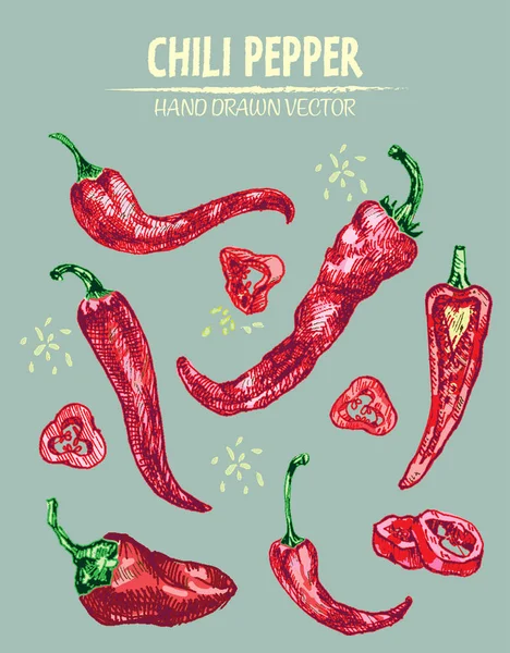 Dijital vektör hat sanat chili ayrıntılı