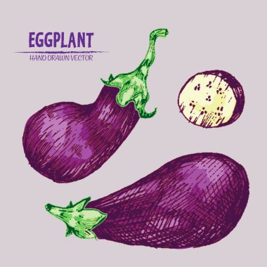 Dijital vektör çizgi renk sanat ayrıntılı