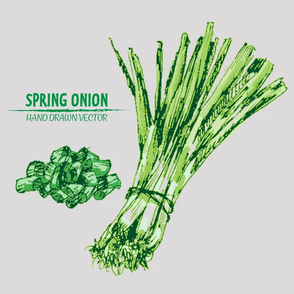 Dijital vektör Hat sanatı ayrıntılı