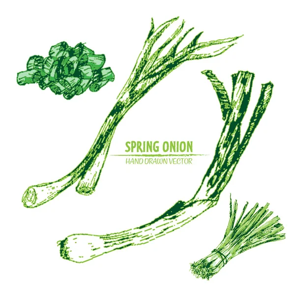 Dijital vektör Hat sanatı ayrıntılı