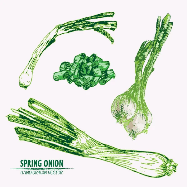 Dijital vektör Hat sanatı ayrıntılı