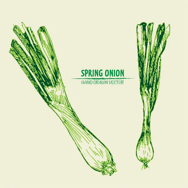 Dijital vektör Hat sanatı ayrıntılı