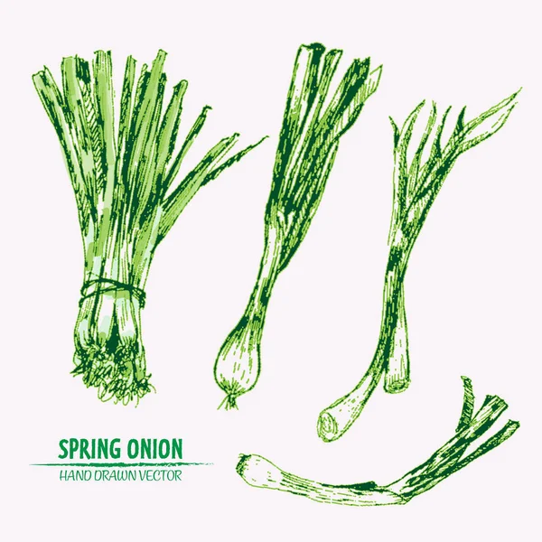 Dijital vektör Hat sanatı ayrıntılı