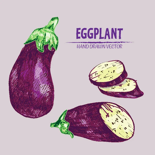 Dijital vektör çizgi renk sanat ayrıntılı