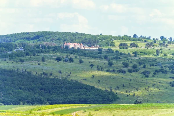 Piękny zielony krajobraz z siana — Zdjęcie stockowe