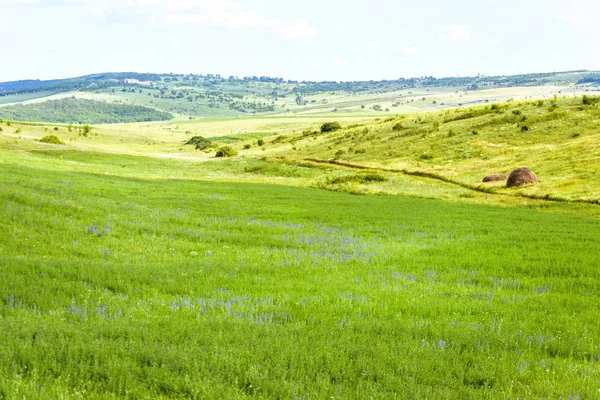Saman ile güzel yeşil manzara
