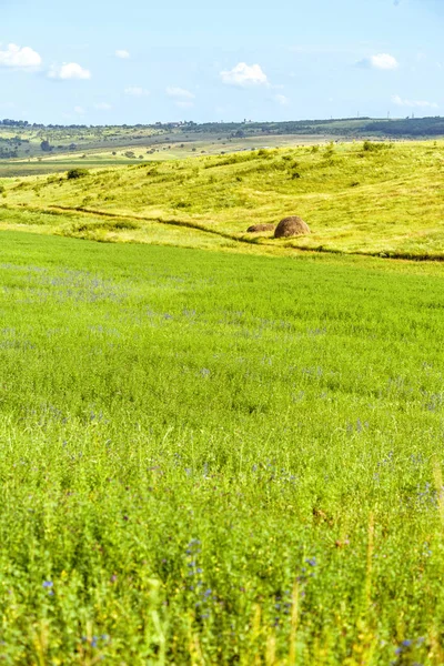 Bela paisagem verde com feno — Fotografia de Stock