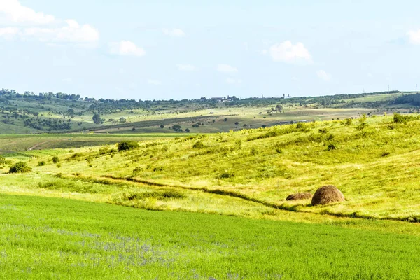 Saman ile güzel yeşil manzara