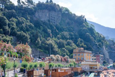 Beachline ve yeşil dağların güzel gün ışığı görünümünde sis