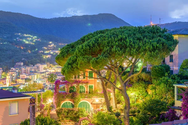 Güzel bir gece görünümüne balkon yeşil ağaç ve Santa Marghe