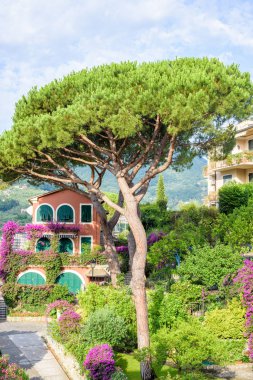 Güzel yaz görünümüne yeşil ağaç ve mor çiçekler