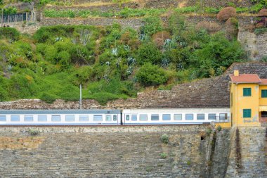 Bölgesel tren Vernazza içinde seyir